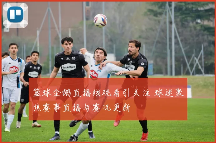 篮球企鹅直播线观看引关注 球迷聚焦赛事直播与赛况更新