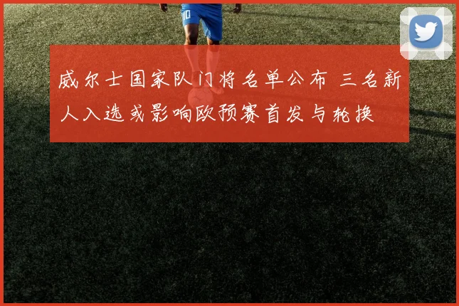 威尔士国家队门将名单公布 三名新人入选或影响欧预赛首发与轮换