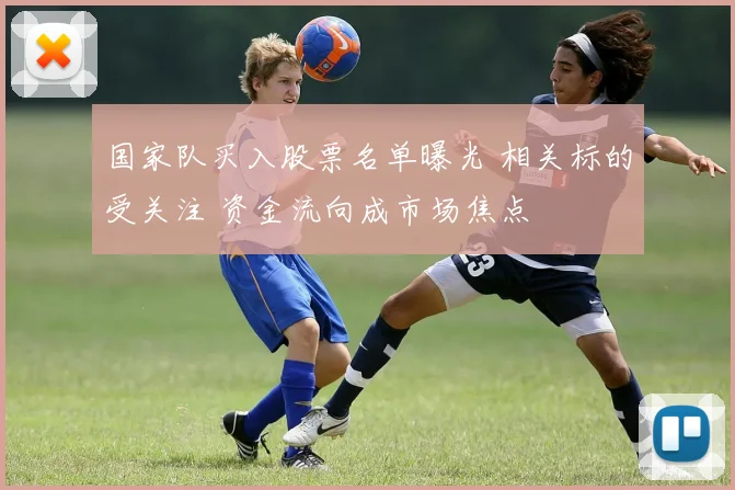 国家队买入股票名单曝光 相关标的受关注 资金流向成市场焦点
