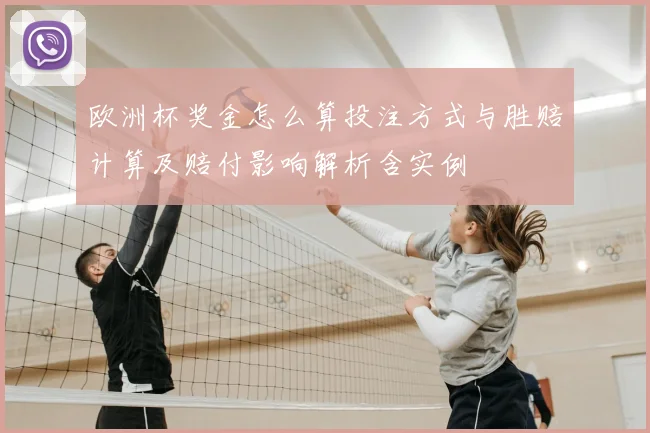 欧洲杯奖金怎么算投注方式与胜赔计算及赔付影响解析含实例