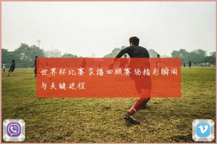 世界杯比赛录播回顾赛场精彩瞬间与关键进程