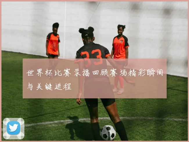 世界杯比赛录播回顾赛场精彩瞬间与关键进程