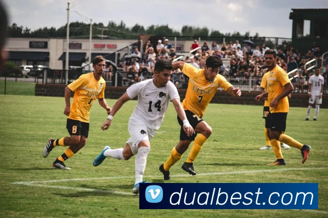 App Interface Preview